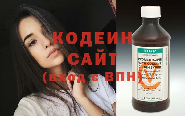 хмурый Гусев