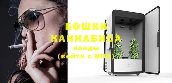 хмурый Гусев