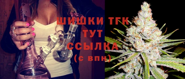 хмурый Гусев