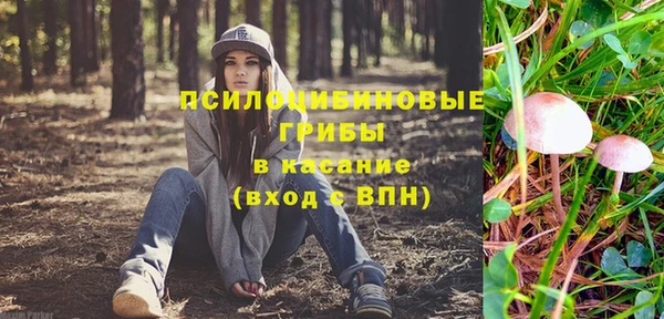 хмурый Гусев