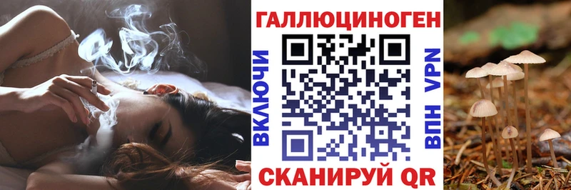Купить где  Урай  Галлюциногенные грибы Psilocybine cubensis 