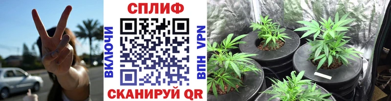 Купить  Урай  Канабис Bruce Banner 